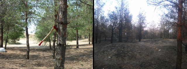 До и после пожара